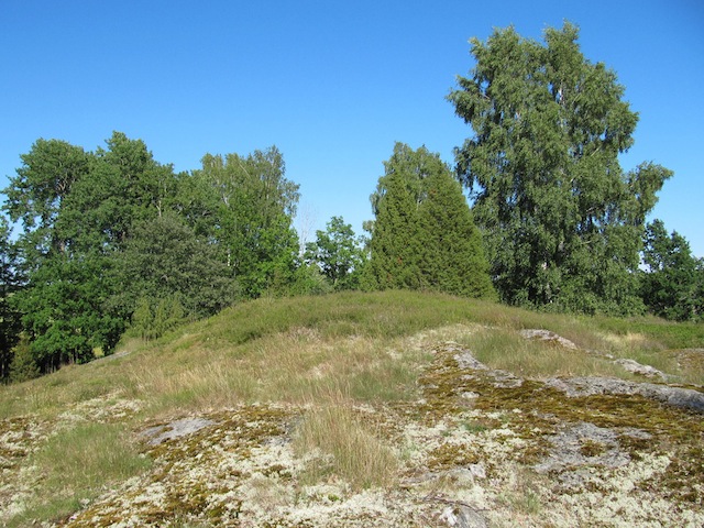 Fil:Järnåldergavfält vid Millesviks kyrka 3.jpg