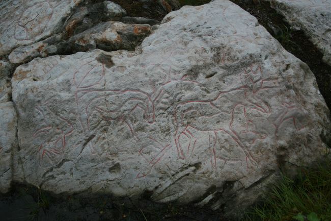 Fil:Vistnesdalen 7.jpg