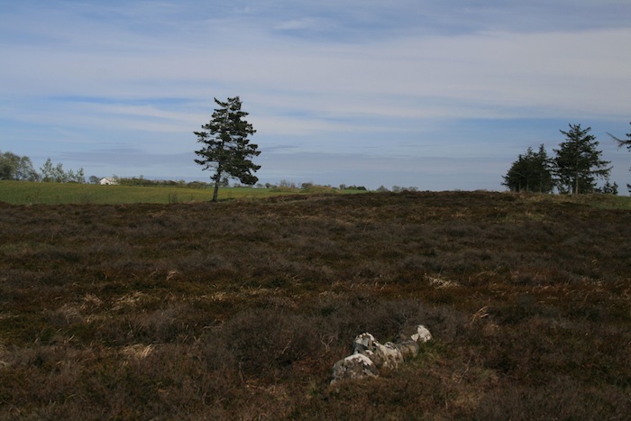 Fil:Tømmerby Vikingegravplads Gravhøj 1.jpg