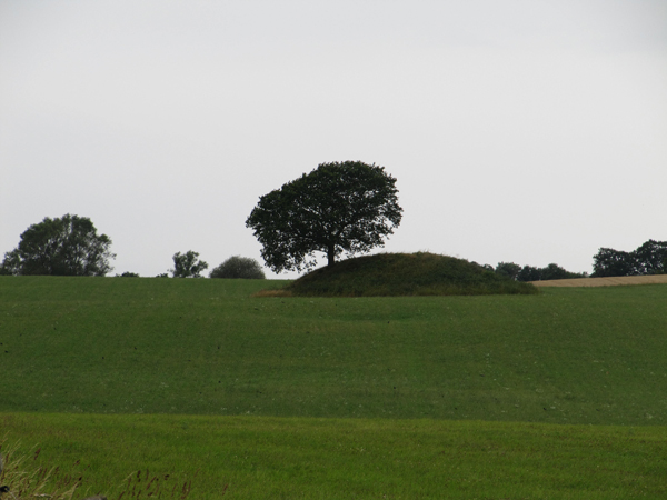 Fil:Mysselhøj (Gammel Lejre).jpg
