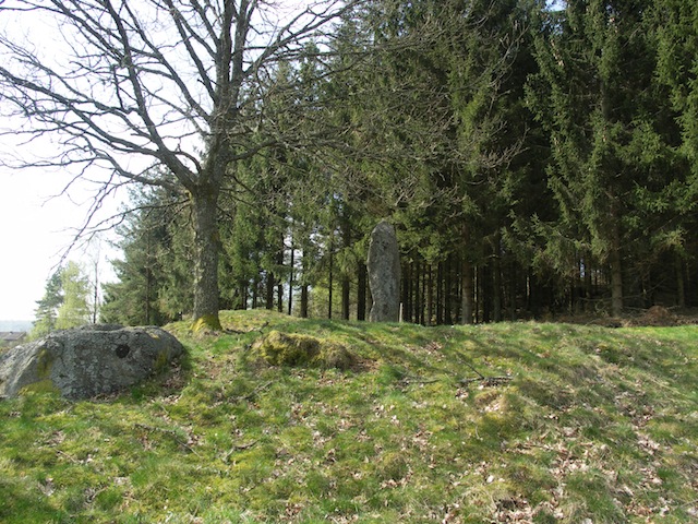 Fil:Vrångstad gravfält 07.jpg