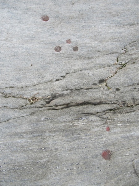 Fil:Helleristninger i Herand 17.jpg