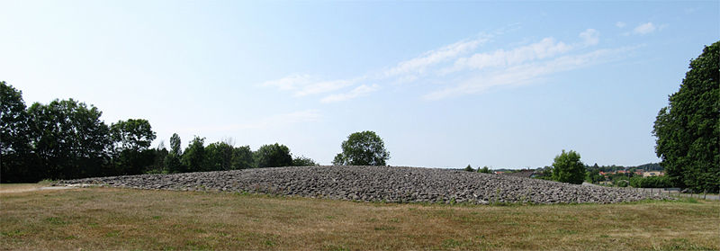 Fil:Kiviksgraven 8.jpg