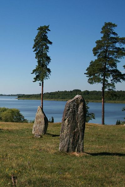 Fil:Skävesunds gravfält 1.jpg