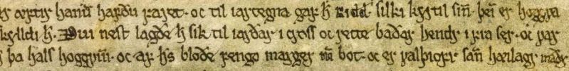 Fil:Fagrskinna fragment.jpeg
