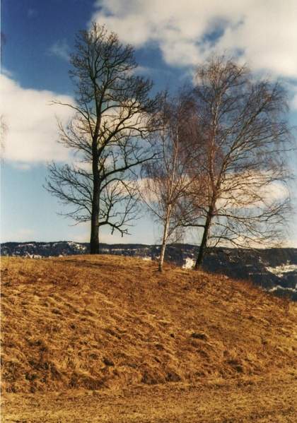 Fil:Halvdanshaugen 4.jpg