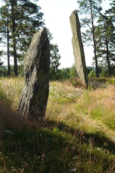 Fil:Håvestens gravfält 1.jpg