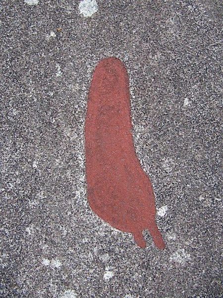 Fil:Vitlycke 25.jpg