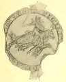 Figur 19 (NGVFF).jpg