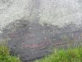 Aubeberget 2.jpg