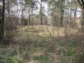 Begby 34.jpg