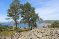 Rimsvarden 2.jpg