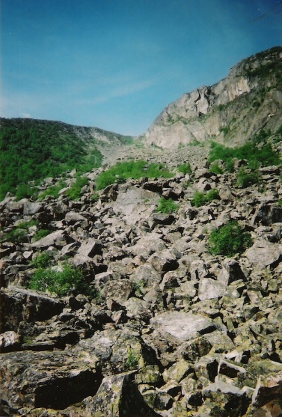 Fil:Torsvegen 1.jpg
