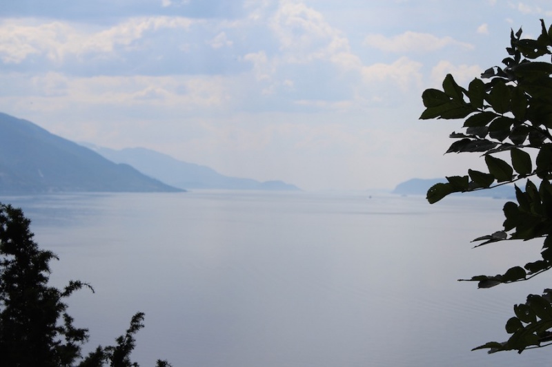 Fil:Geithidleren i Årsand 15.jpg