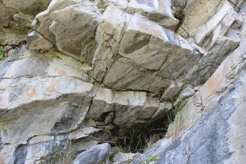 Fil:Geithidleren i Årsand 10.jpg