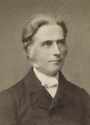 Johannes Fibiger (1821-1897).jpeg