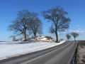 Brudehøje 7.jpg