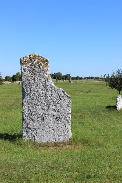 Fil:Gravfältet i Seby 6.JPG