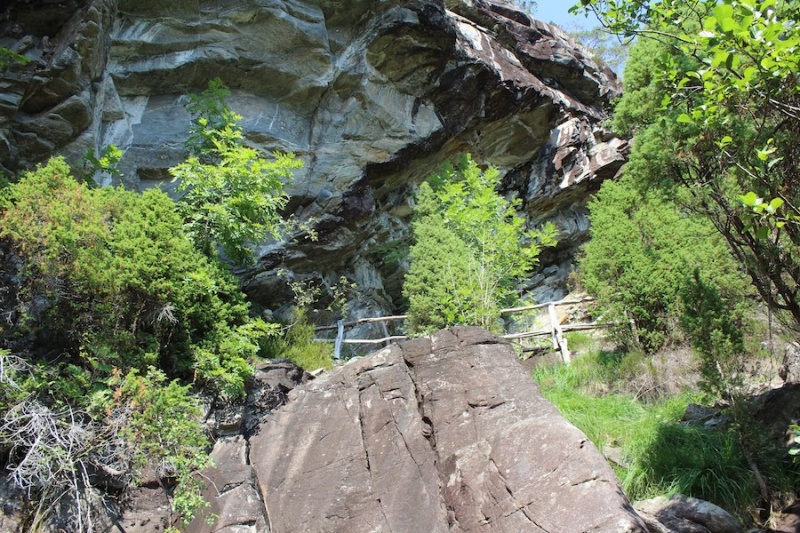 Fil:Geithidleren i Årsand 17.jpg