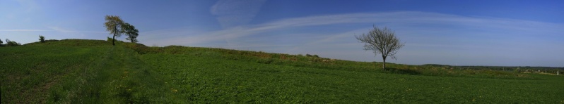 Fil:Kardyb Langdysse Panorama.jpg