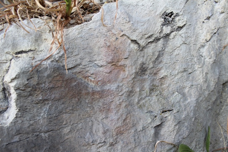 Fil:Geithidleren i Årsand 11.jpg