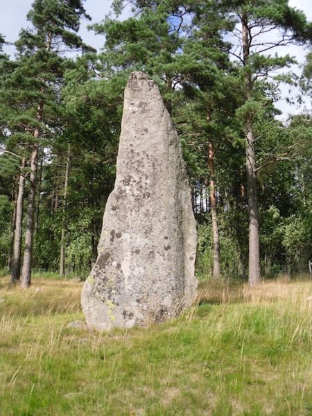 Fil:Blomsholm 12.jpg