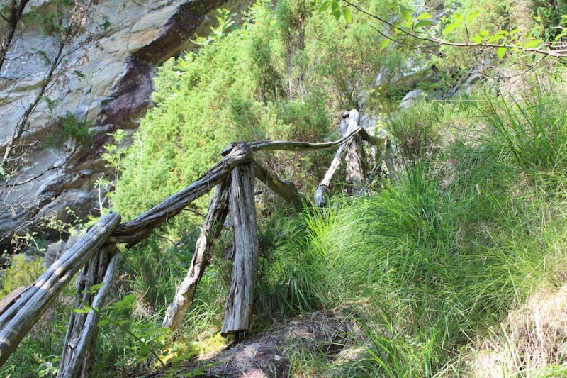 Fil:Geithidleren i Årsand 16.jpg