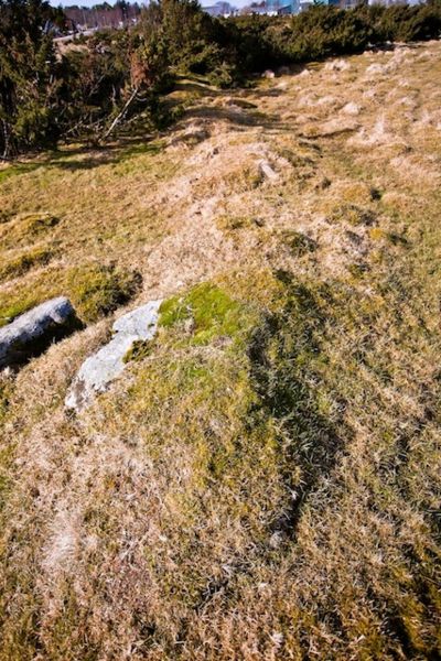 Fil:Vaula på Mosterøy 7.jpg